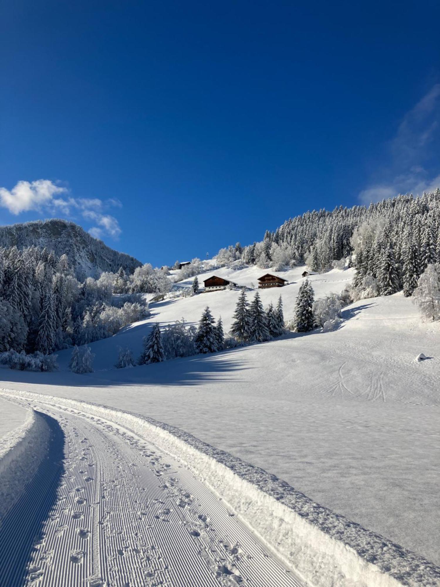 Appartement Knapp Wald im Pinzgau Exterior photo